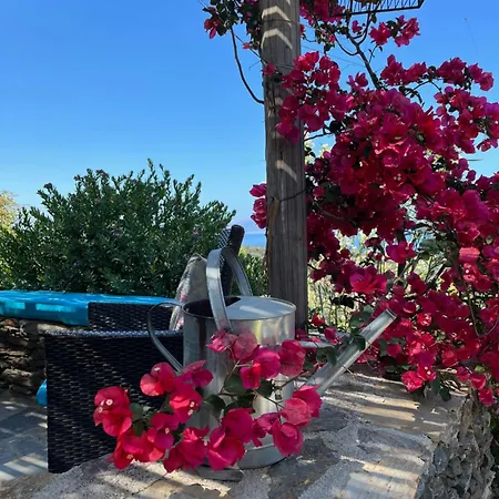 Дом отдыха Walnut Tree Farm Agia Anastasia