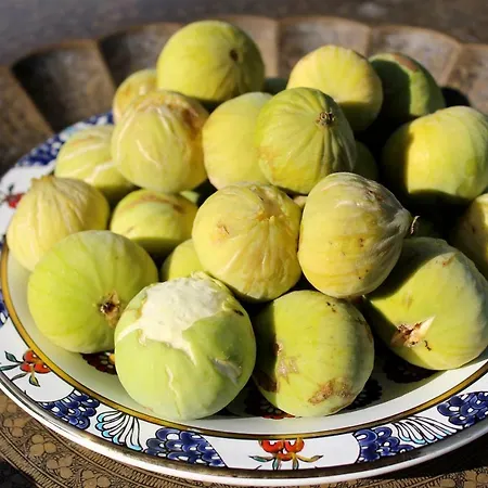 Walnut Tree Farm Agia Anastasia