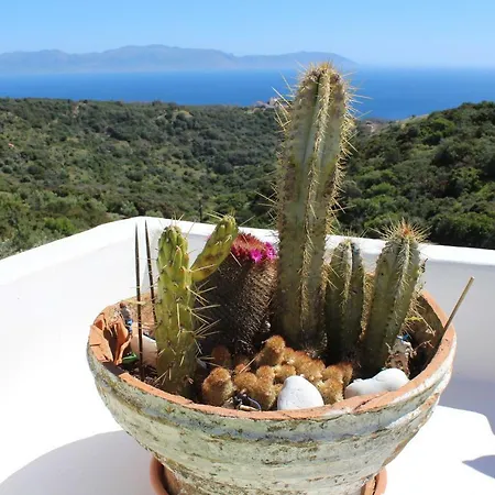Walnut Tree Farm Holiday home Agia Anastasia